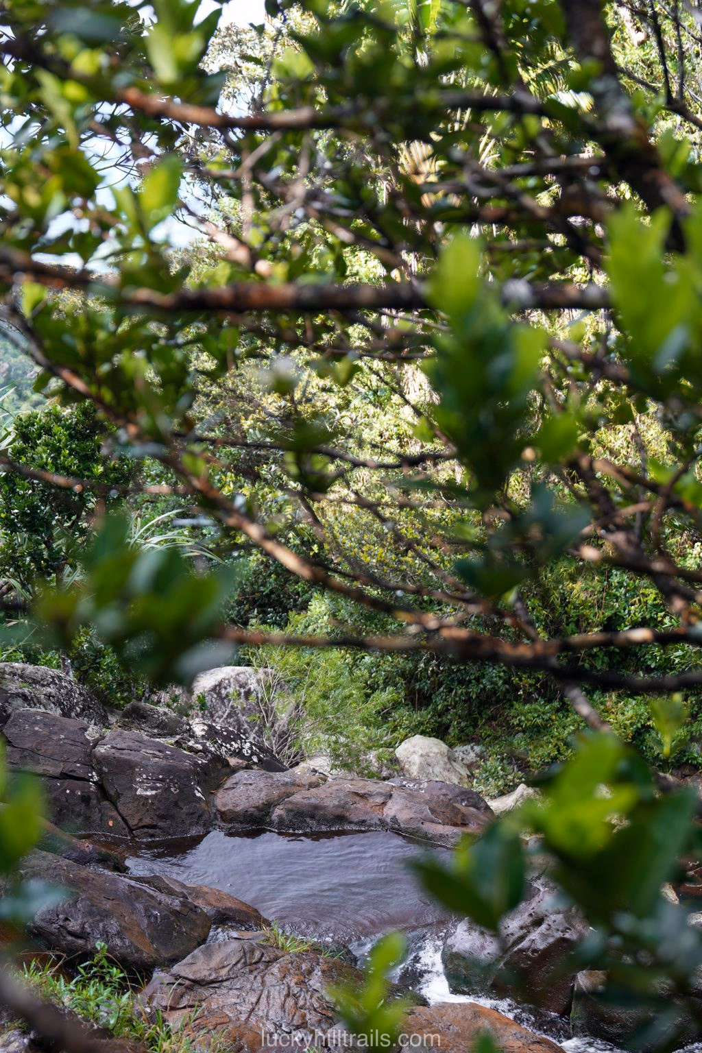 mauritius black river alexandra falls