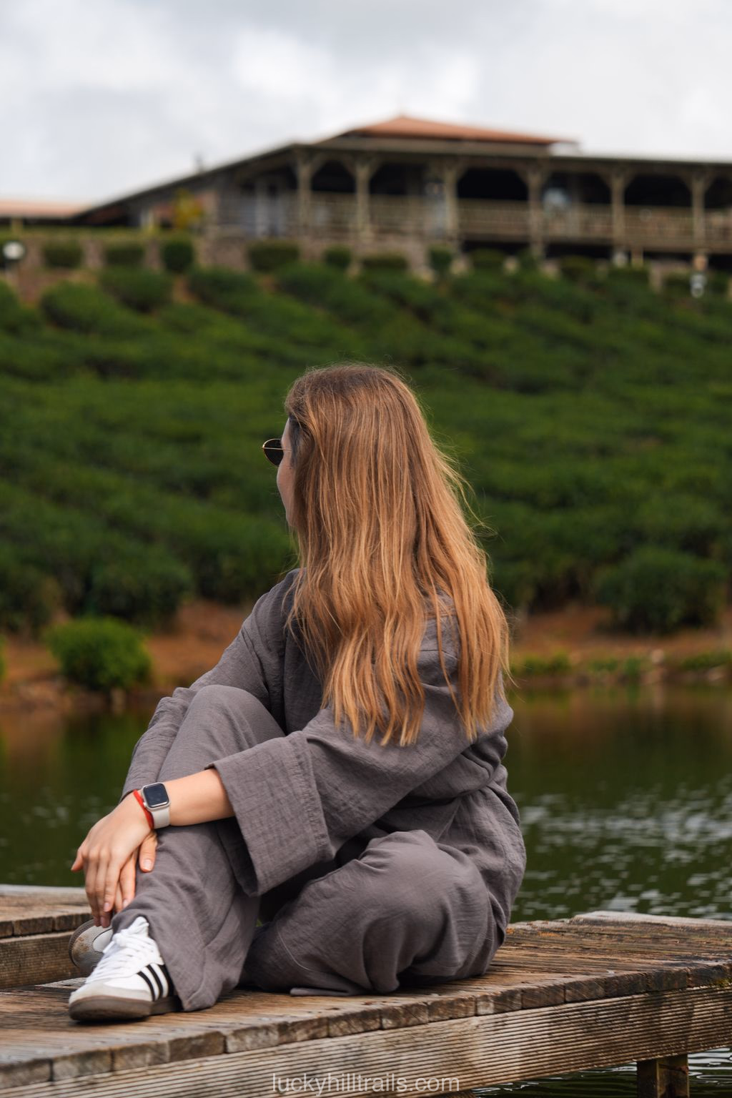 mauritius black river bois chéri tea plantation