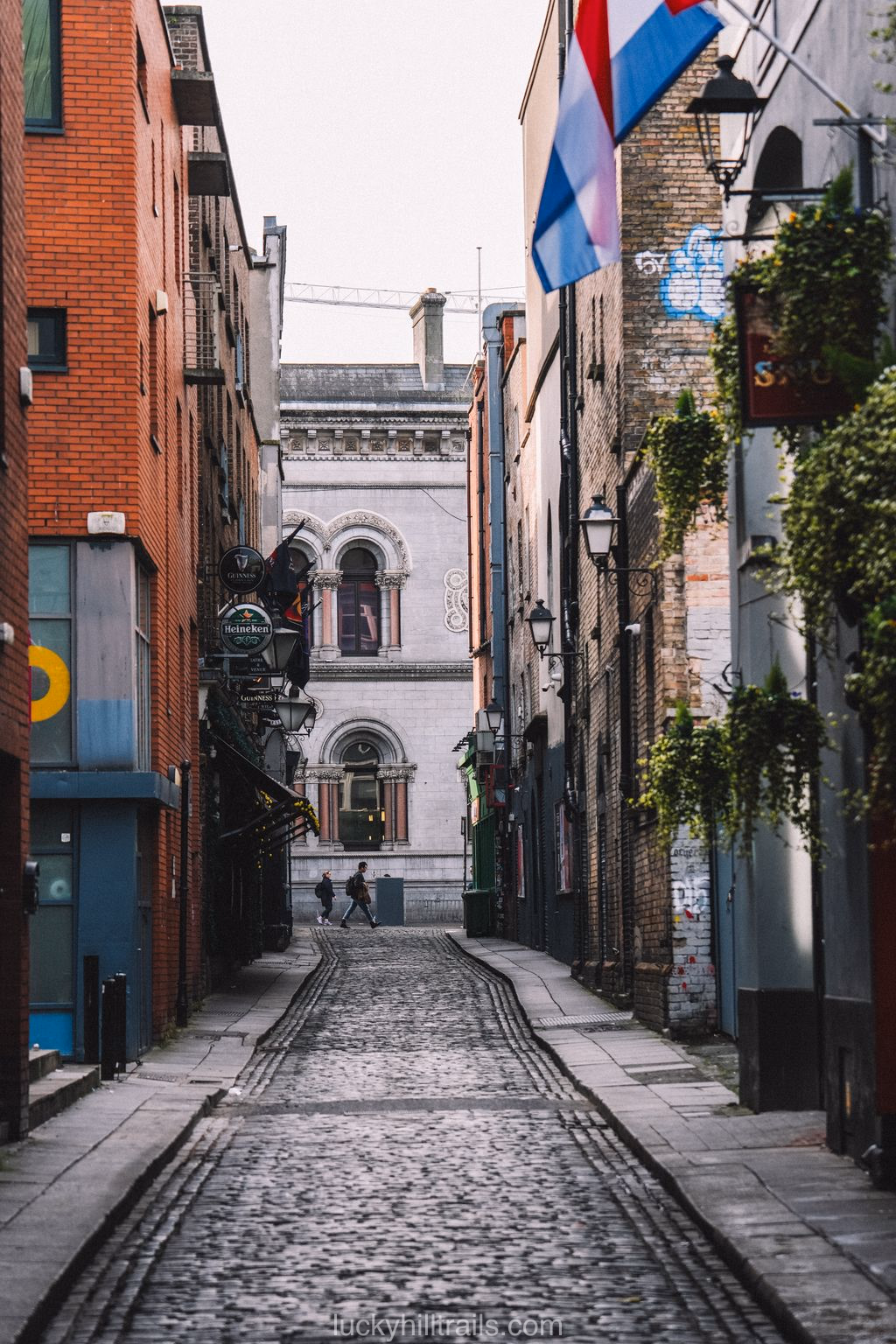 Dublin's street